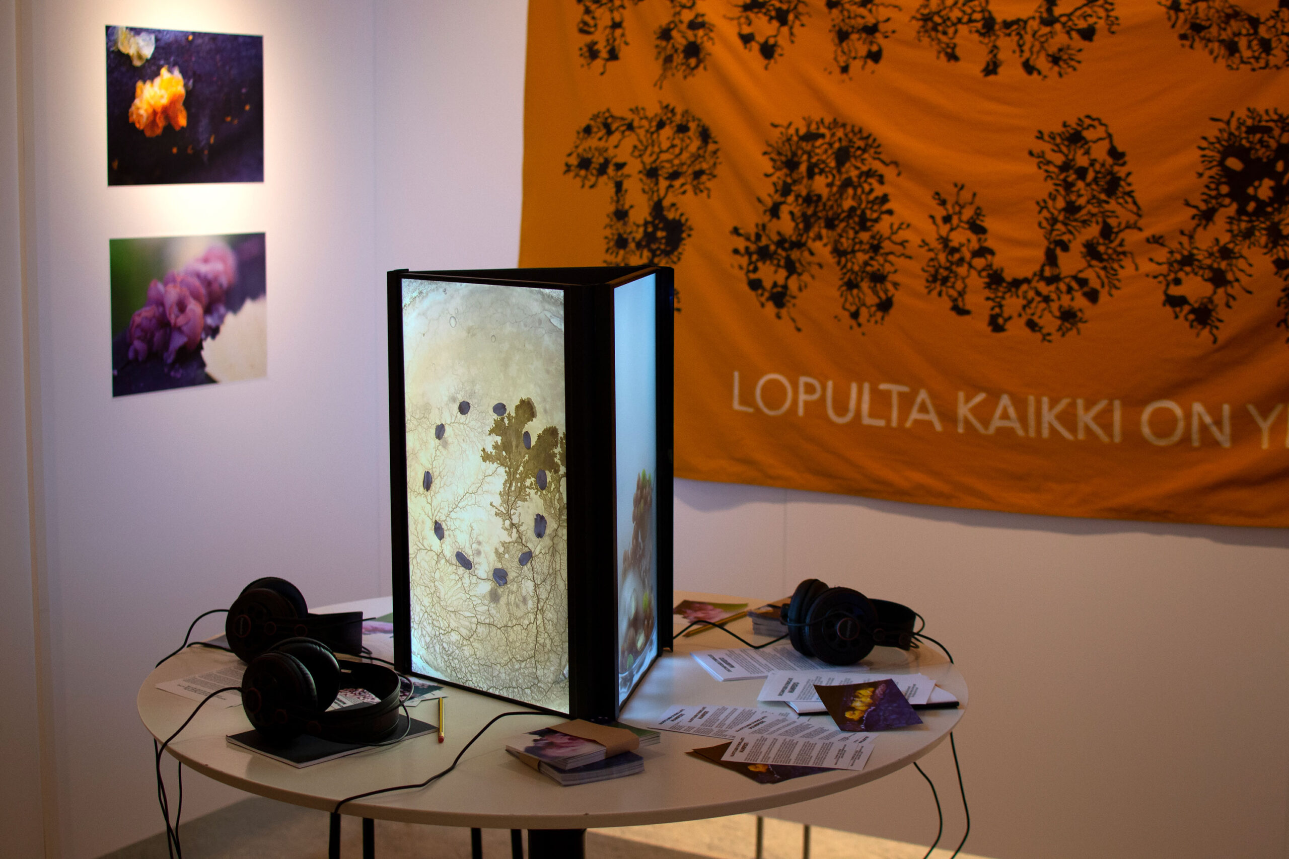 HAJOTTAJIEN SYNDIKAATTI